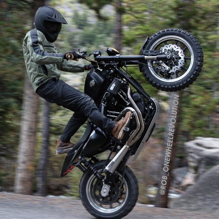 Progressive 970 Piggyback Reservoir Shocks - Rear Suspension - Progressive Suspension - Lucky Speed Shop