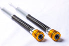 Big Bear Performance 30mm Cartridge Kit For FXLRS - Front Suspension - Big Bear Performance - Lucky Speed Shop