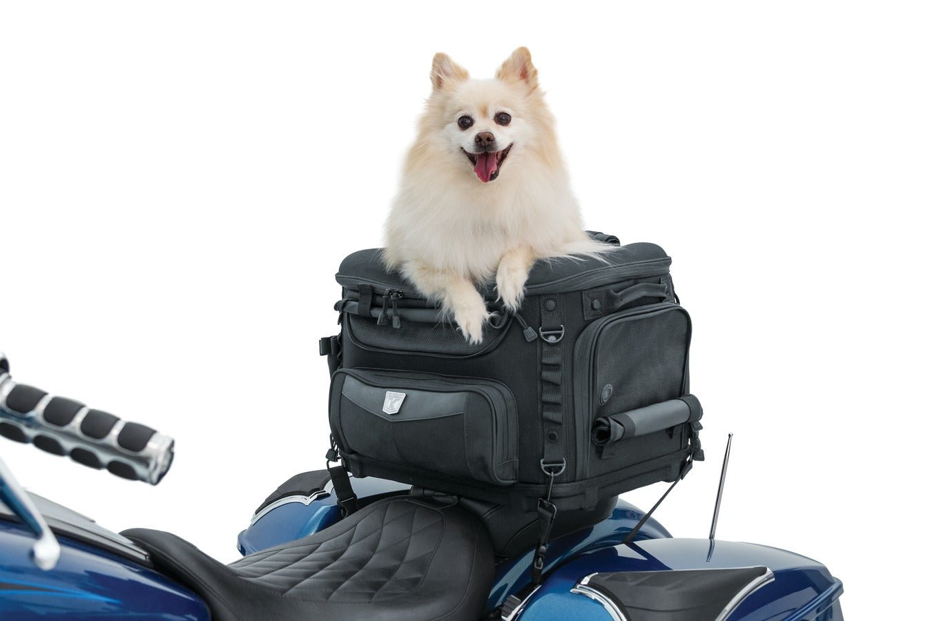 Grand Pet Palace - Travel bags - TUCKER - Lucky Speed Shop