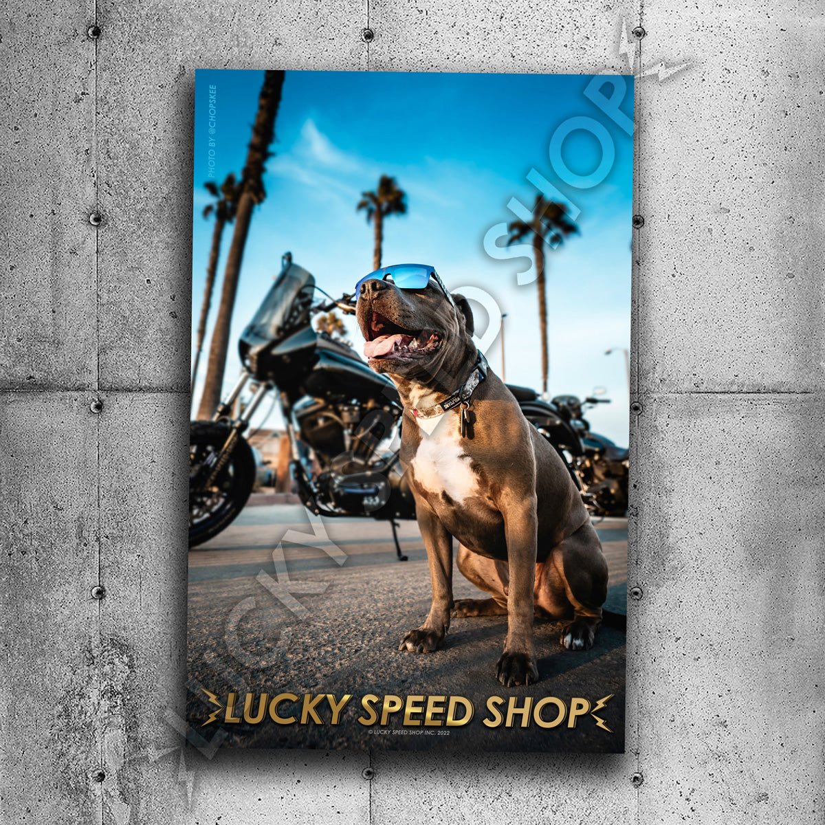 "Homies" Poster Print - POSTER - Lucky Speed Shop - Lucky Speed Shop